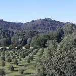 Verdon *