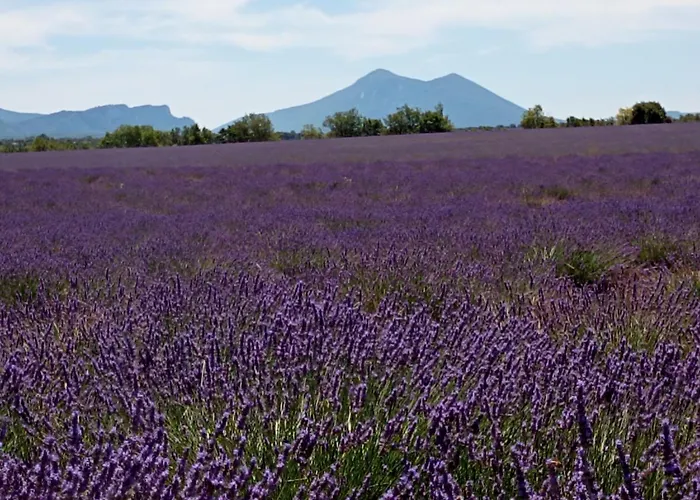 Apartament Verdon Allemagne-en-Provence