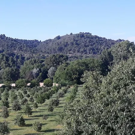 Verdon *