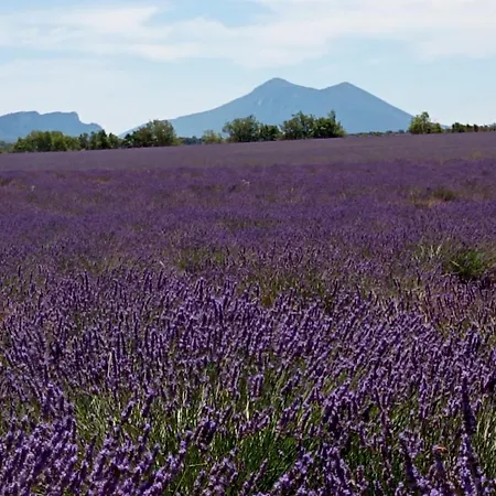 Apartamento Verdon Allemagne-en-Provence